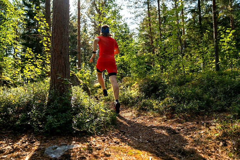 Billede til Rebild Kalkmineløb